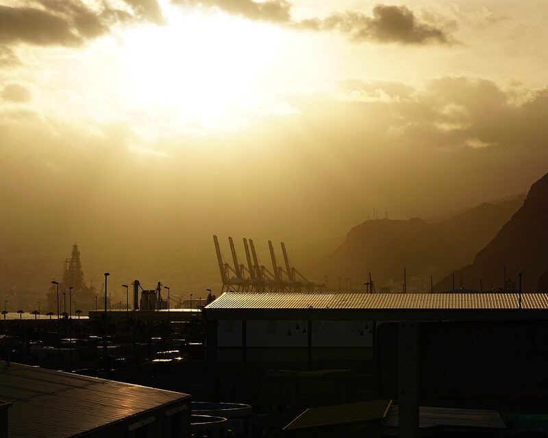 Saving Nature: 8 Steps Anyone Can Take