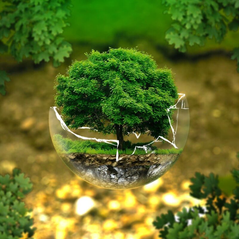 Health benefits of a clean environment