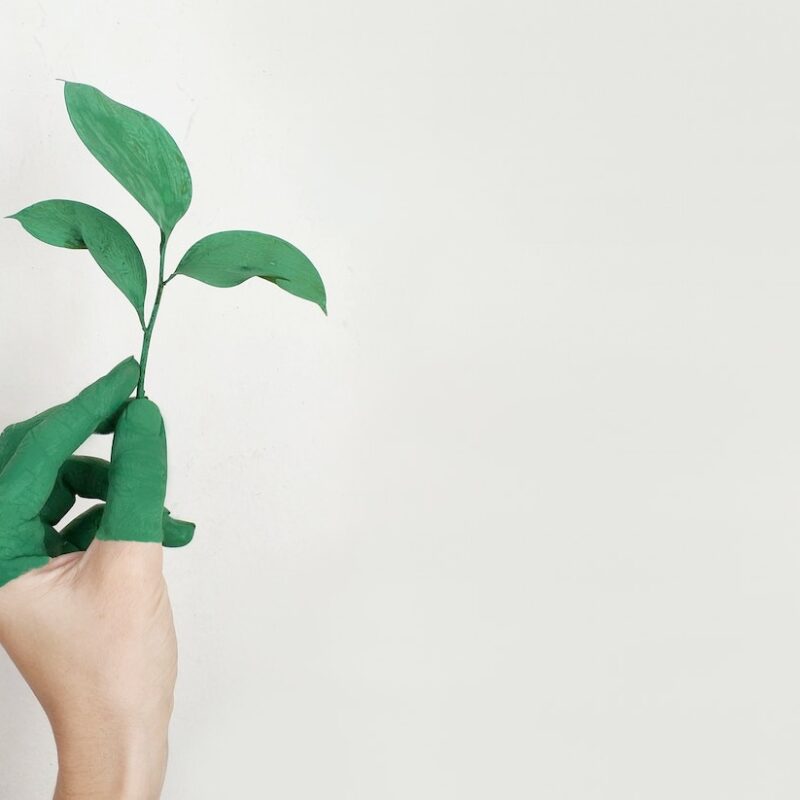 Environmental Protection